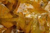 Lustrous Yellow-Orange Bladed Barite Crystal Cluster - Peru #330476-1